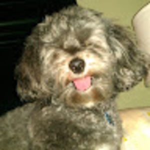 Meet your Posher, Rod